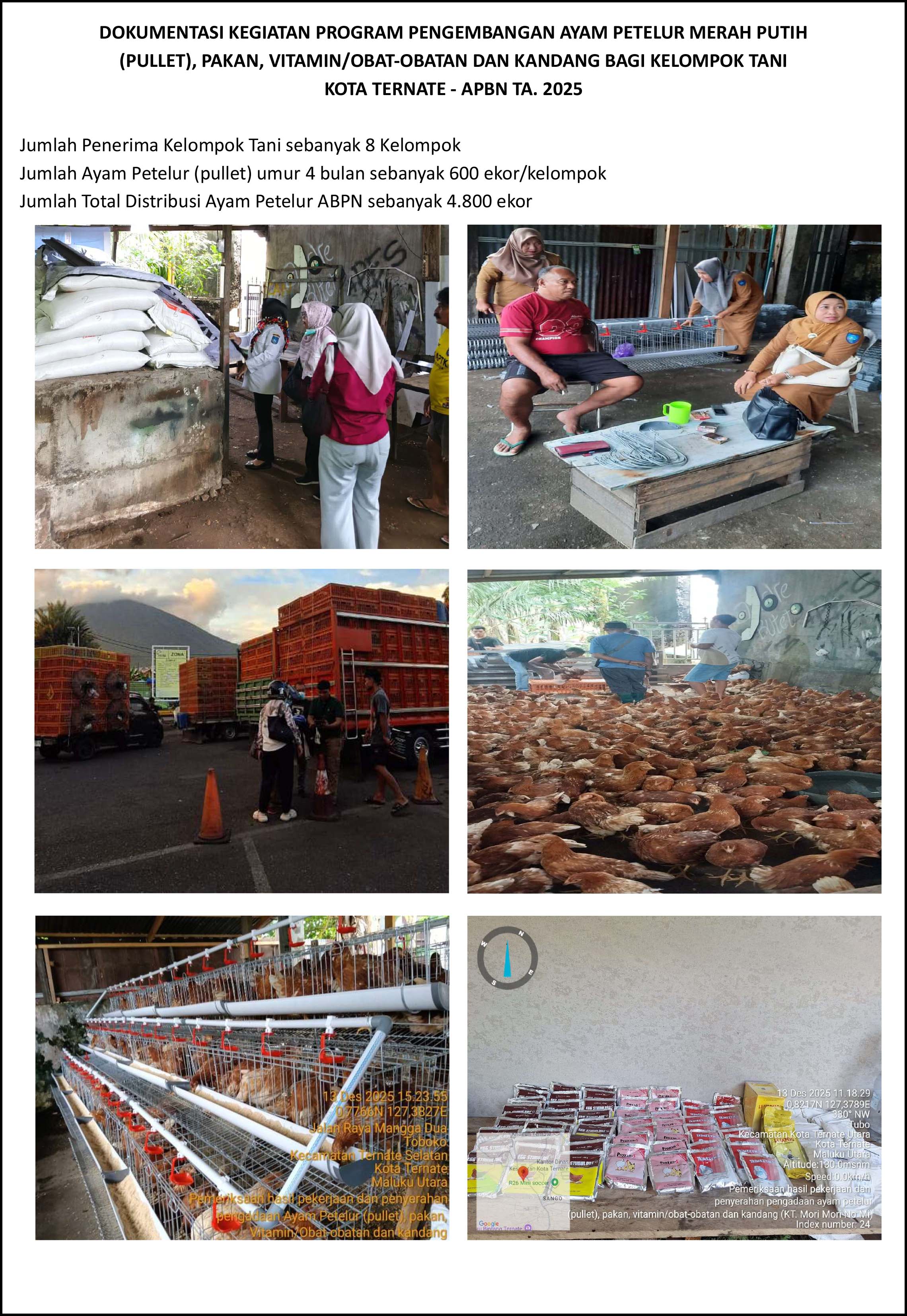 DOKUMENTASI BIDANG PETERNAKAN DISTAN KOTA TERNATE TA. 2025